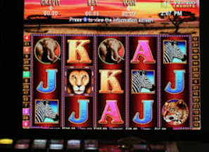 壹号168pg下载电脑免费版